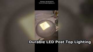 60W 4000K led-tuinlamp met enkele arm IP66 IK10 gebruikt in parken en stedelijke wegen.