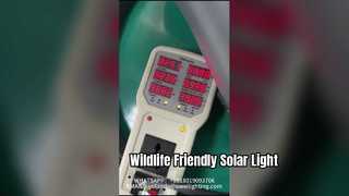 Tuinlamp met paaltop 50W met hoog rendement, gebruikt in parken en straten.