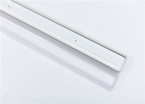 kopen IP65 4ft Inrichtingen van de het Tribewijs de Lineaire Buis van 40W online manufacture