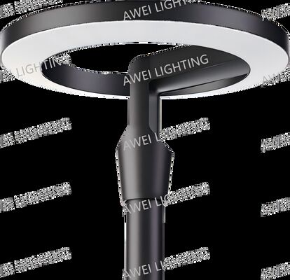 80W Main aangedreven Tuinlamp 160lm/w met die-casting aluminium behuizing gebruikt in straten en parken.