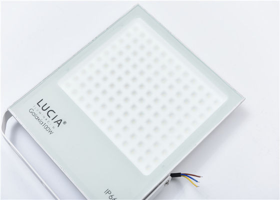 Witte 100w 130lm/W 120 Volt Geleide Openluchtvloedlichten